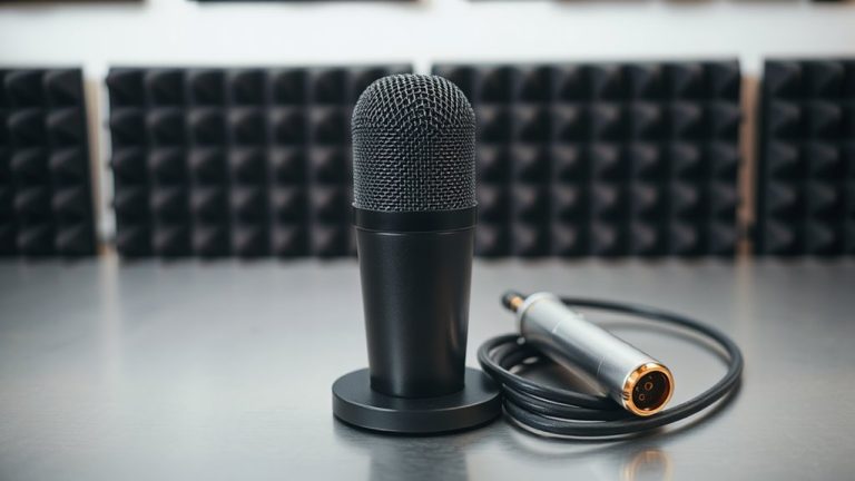 best budget pro microphones