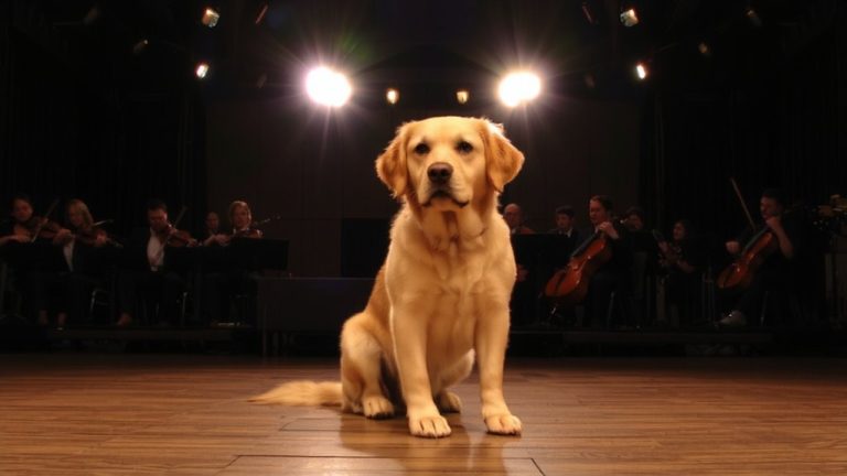 best daw for orchestral