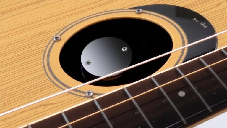 best passive acoustic pickup