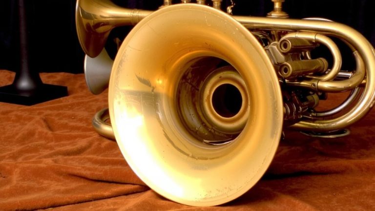 best trumpet brand guide
