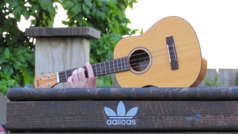 best ukulele size beginners