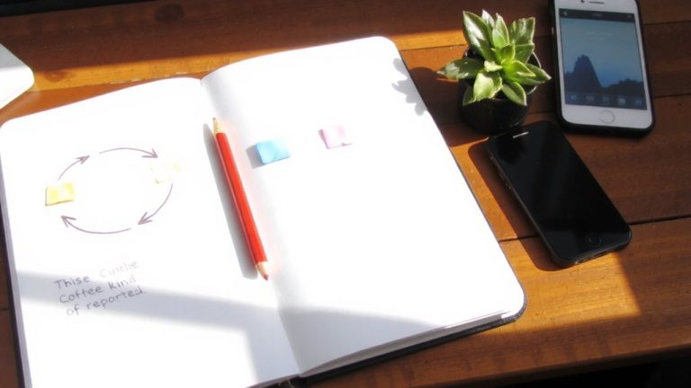 leverage feedback to refine niche