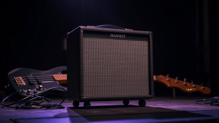 lightweight bass amps portability