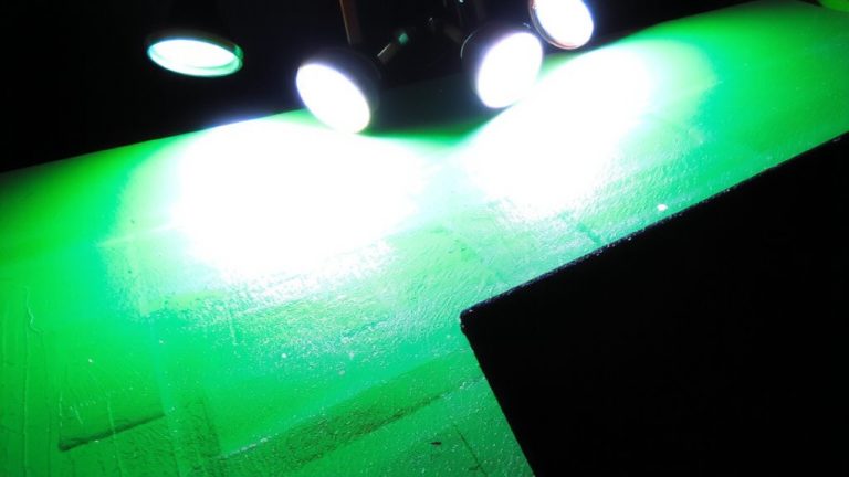 polarizing filters reduce glossy green reflections
