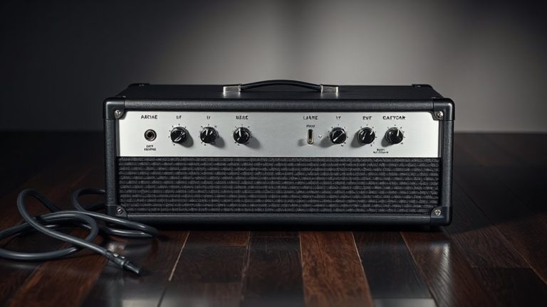 powerful bass amp heads