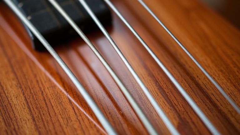 rich tone long lasting bass strings