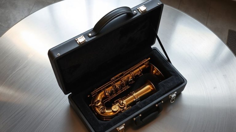 stylish protective saxophone cases