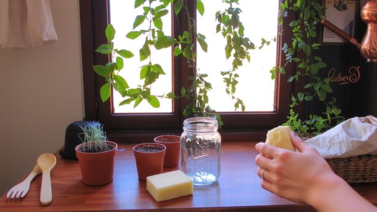 sustainable living livestream niche