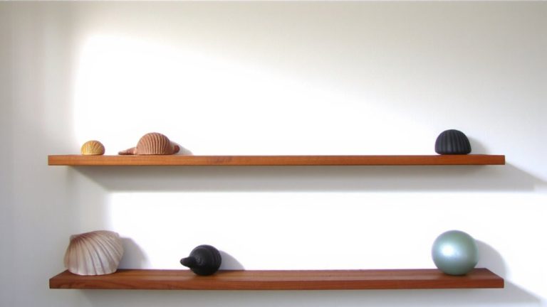 themed collectibles on floating shelves