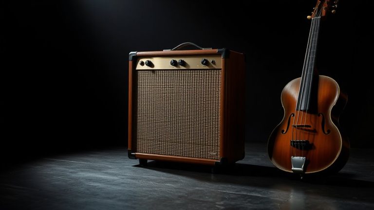 top acoustic bass amps