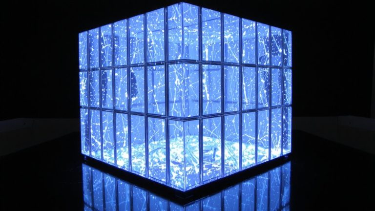 transparent transaction ledger system